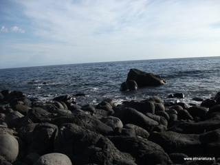 Acque_Grandi - 06-11-2012 08-59-05.JPG